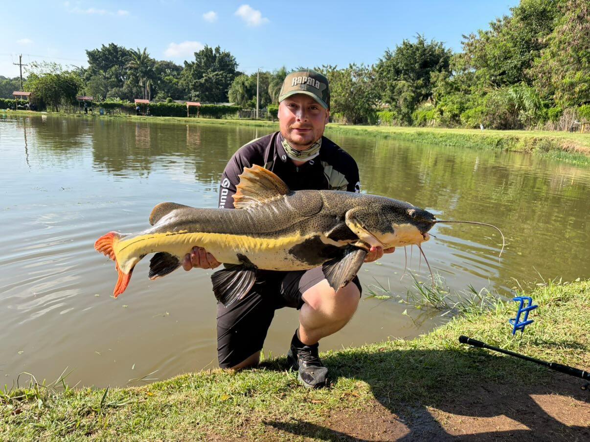 Pescador com pintado gigante à beira do lago